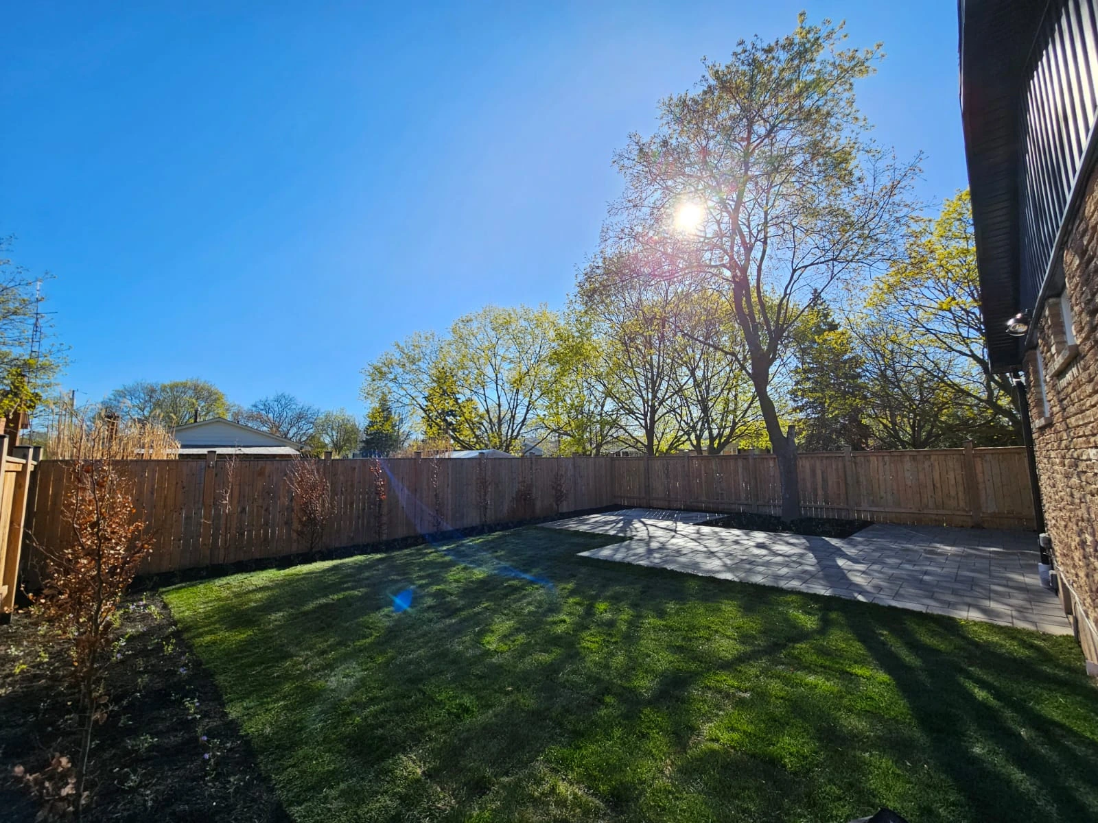 Finished Yard Angle